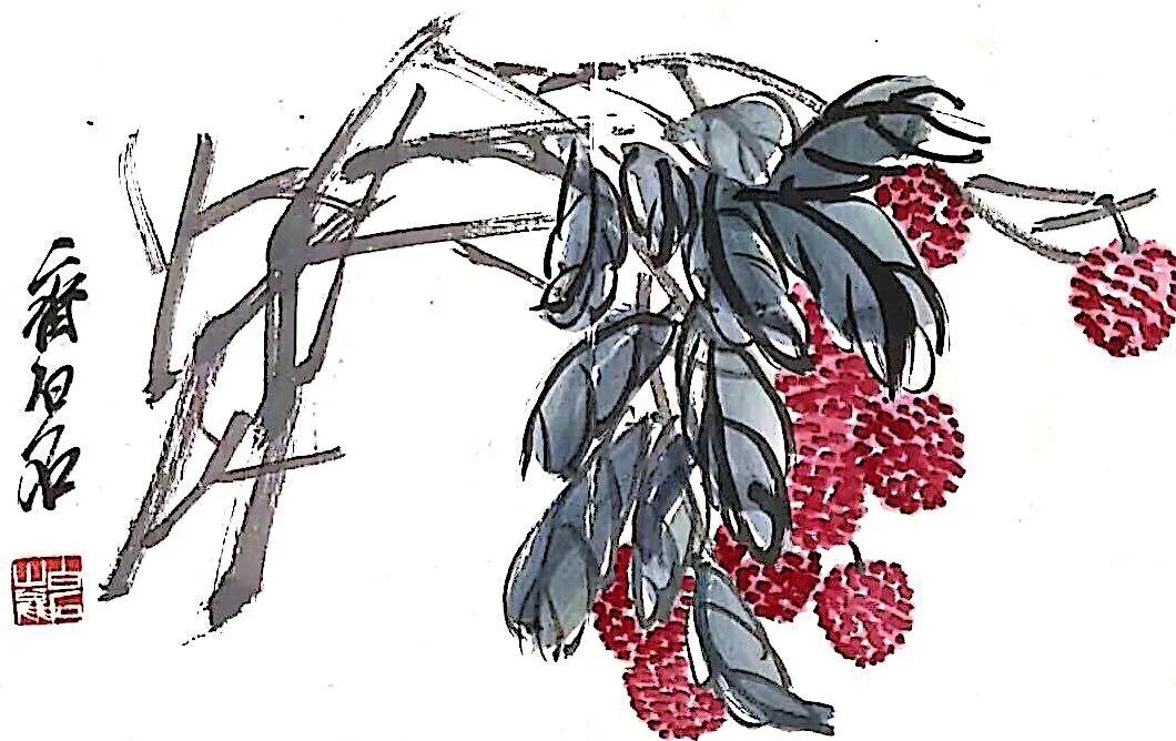 齐白石画荔枝11.jpg